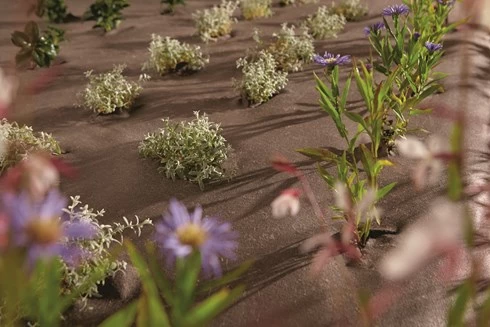 RootBarrier® BioCovers® 157 G/m² 50 Mtr 200cm X 30cm - Afbeelding 6