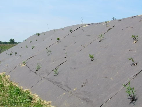 RootBarrier® BioCovers® 157 G/m² 50 Mtr 200cm X 30cm - Afbeelding 5