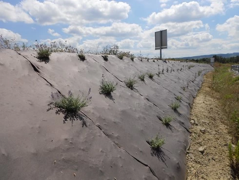 RootBarrier® BioCovers® 157 G/m² 50 Mtr 200cm X 30cm - Afbeelding 3