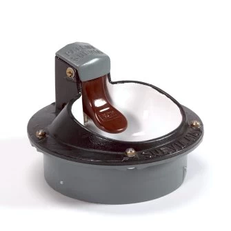 Suevia Verwarmbare Drinkbak, Gietijzer, Met Lepel, Type 41A