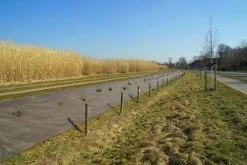 RootBarrier® BioCovers® 157 G/m² 50 Mtr 200cm X 30cm